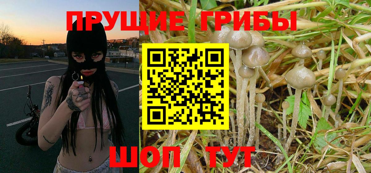 Псилоцибиновые грибы мухоморы  как найти   Клин  Вход с VPN 